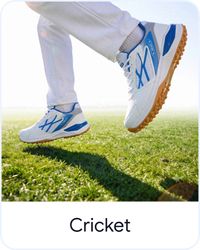 Cricket Cricket